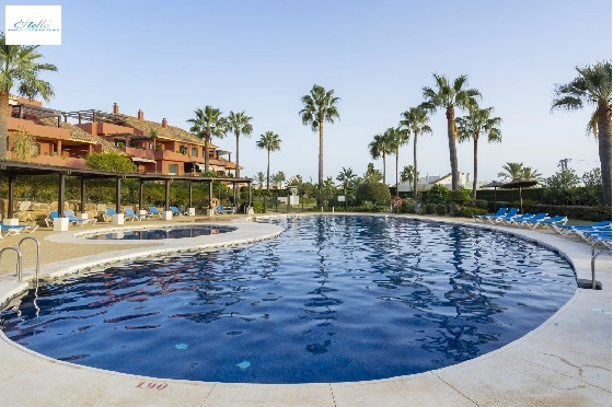 Penthouse-Apartment-in-Estepona-zu-verkaufen-NX-401750-2.webp