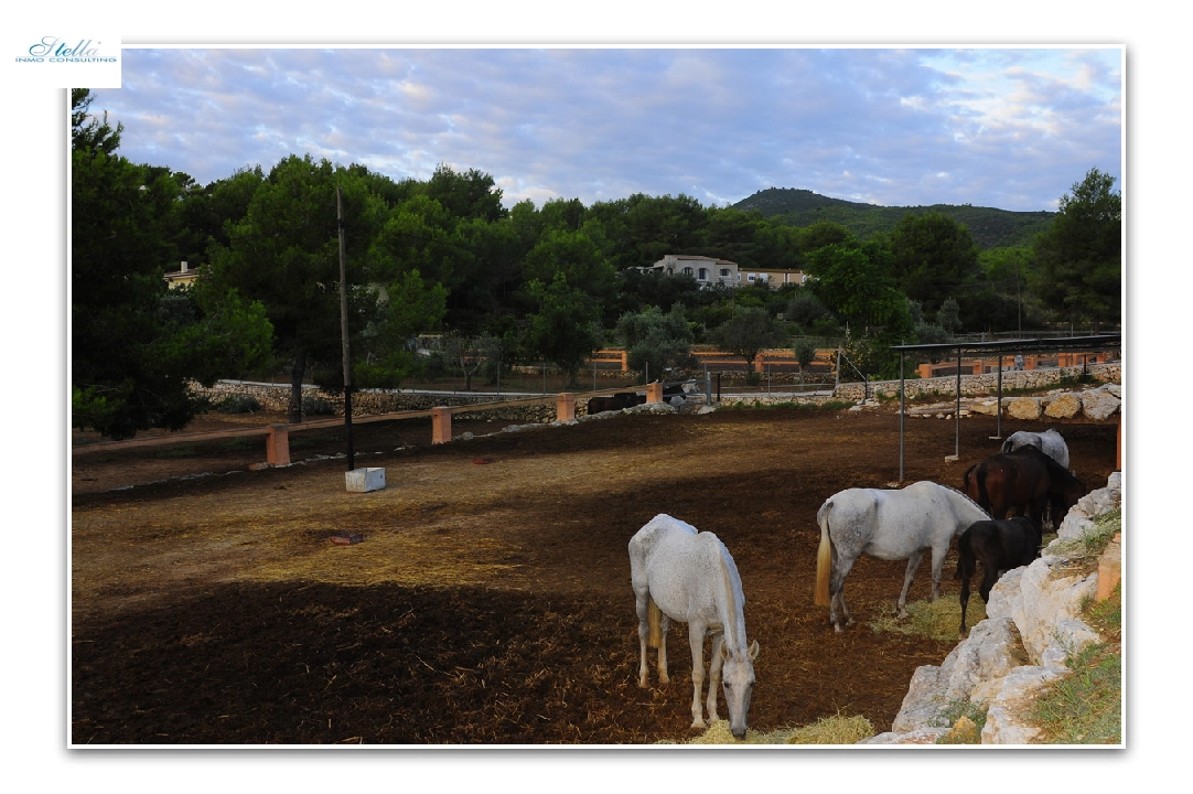 Villa in Javea zu verkaufen, Wohnfläche 420 m², Klimaanlage, Grundstück 18000 m², 5 Schlafzimmer, 3 Badezimmer, Pool, ref.: PR-PPS1295-20