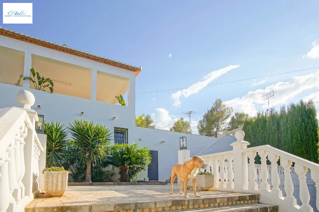 Villa in Denia(Las Rotas) zu verkaufen, Wohnfläche 426 m², Klimaanlage, Grundstück 5500 m², 6 Schlafzimmer, 4 Badezimmer, ref.: BP-8176DEN-33