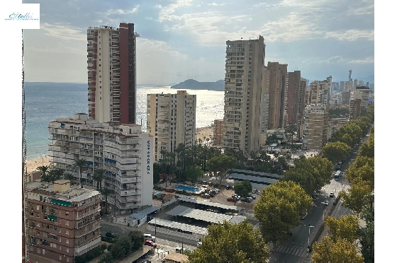 Apartment-in-Benidorm-Avenida-del-Mediterraneo-zu-verkaufen-COB-13065-10535-2.webp