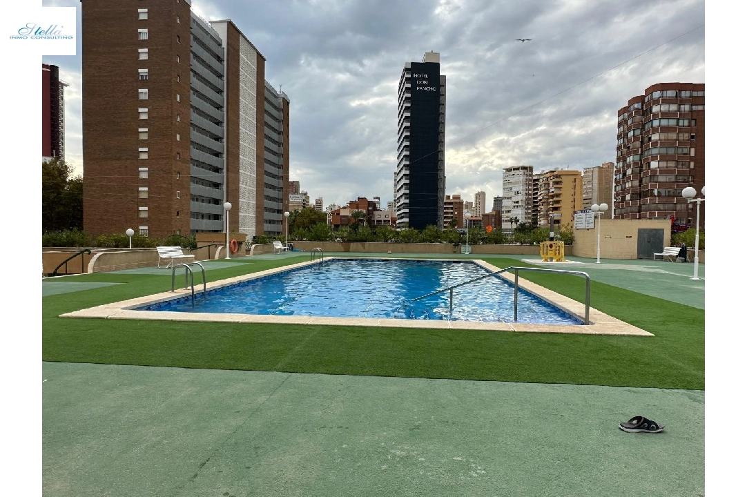 Apartment in Benidorm(Avenida del Mediterraneo) zu verkaufen, Wohnfläche 63 m², Klimaanlage, 1 Schlafzimmer, 1 Badezimmer, Pool, ref.: COB-13065-10535-10