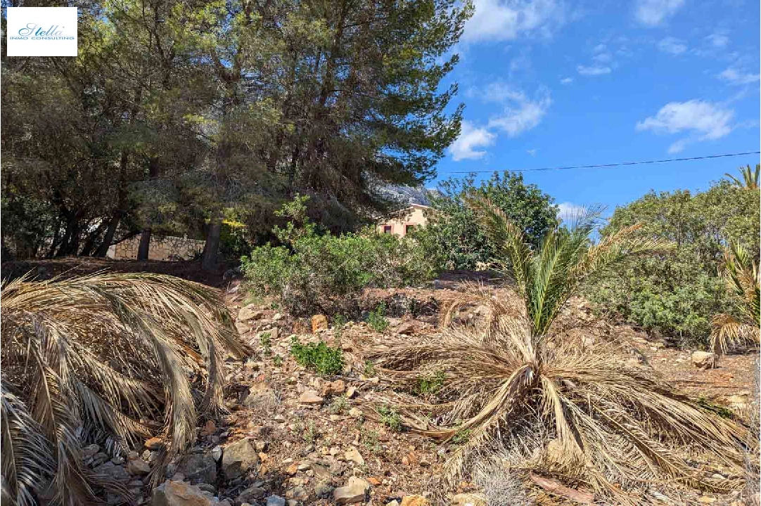 Wohngrundstück in Denia(Don Quijote) zu verkaufen, Grundstück 3034 m², ref.: BP-8192DEN-11