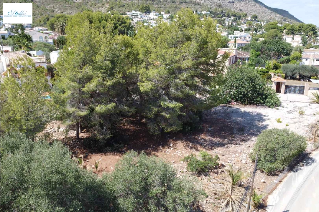 Wohngrundstück in Denia(Don Quijote) zu verkaufen, Grundstück 3034 m², ref.: BP-8192DEN-2