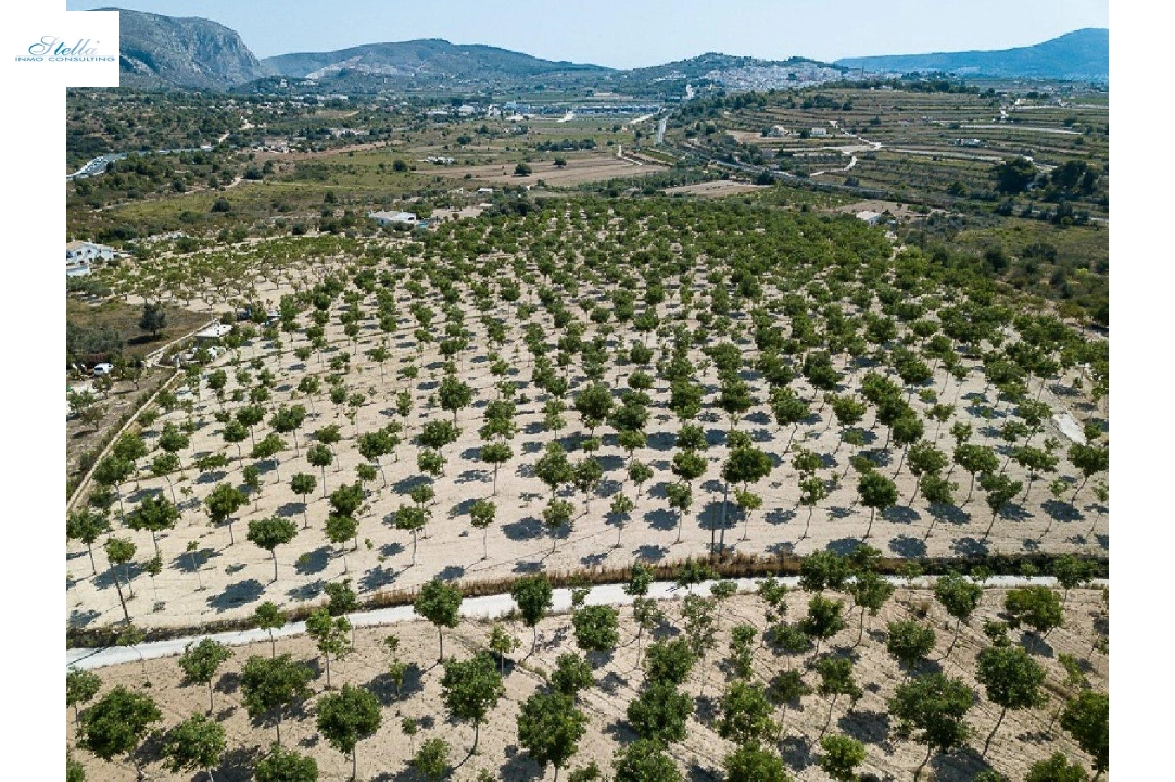 Wohngrundstück in Benissa zu verkaufen, Klimaanlage, Grundstück 36000 m², Pool, ref.: AM-11388DA-1