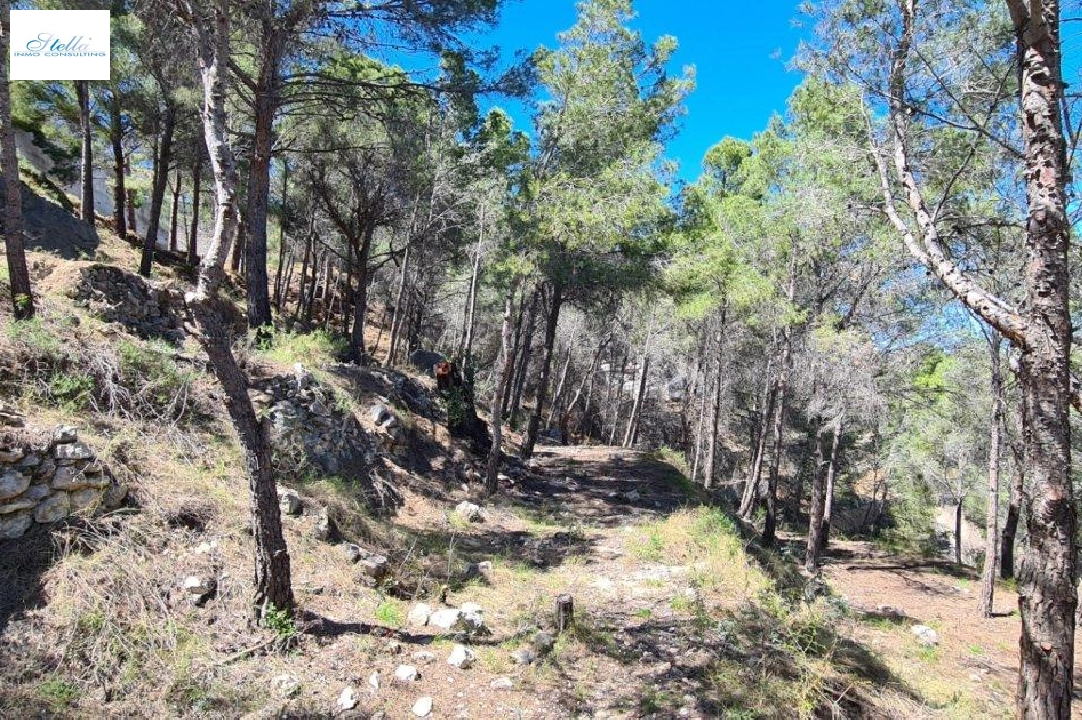 Wohngrundstück in Calpe zu verkaufen, Klimaanlage, Grundstück 2500 m², Pool, ref.: AM-11750DA-4