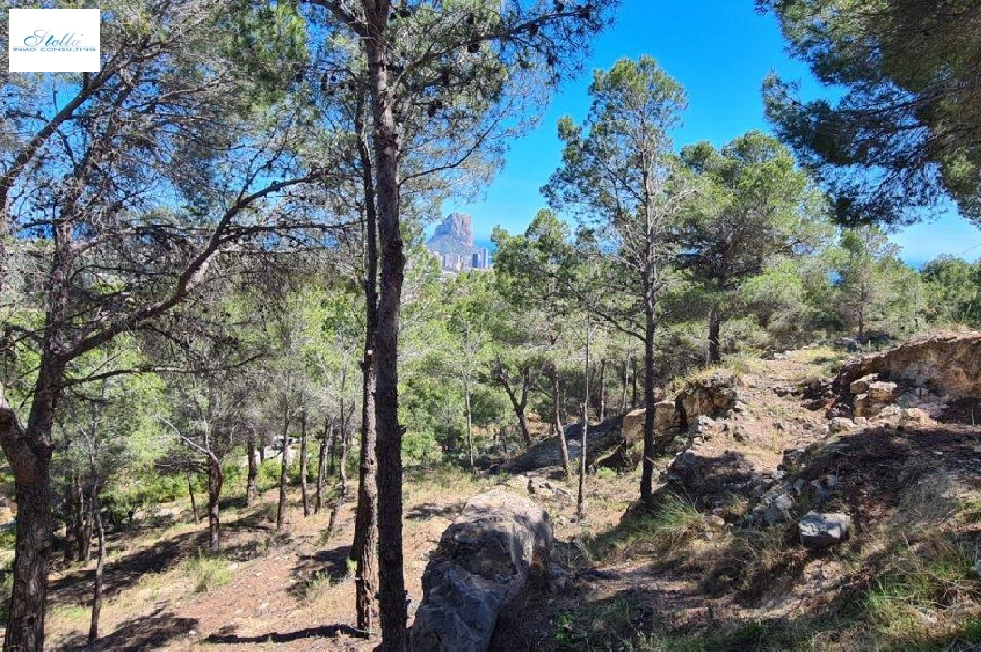 Wohngrundstück in Calpe zu verkaufen, Klimaanlage, Grundstück 2500 m², Pool, ref.: AM-11750DA-5