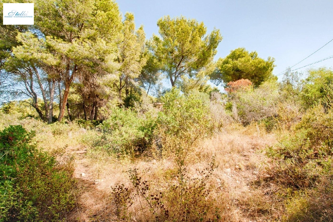 Wohngrundstück in Benissa zu verkaufen, Klimaanlage, Grundstück 1039 m², Pool, ref.: AM-11814DA-5