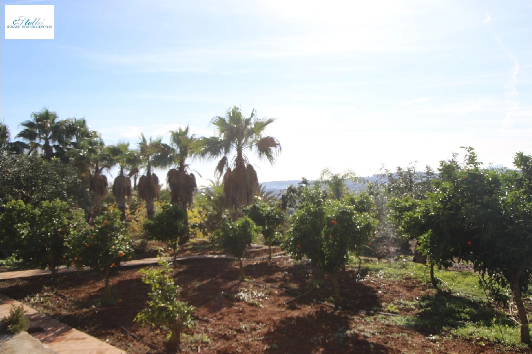 Finca in Benissa(Canor) zu verkaufen, Wohnfläche 960 m², Grundstück 15000 m², 15 Schlafzimmer, 14 Badezimmer, Pool, ref.: COB-3322-10535-48